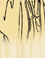 �Юv�o�i